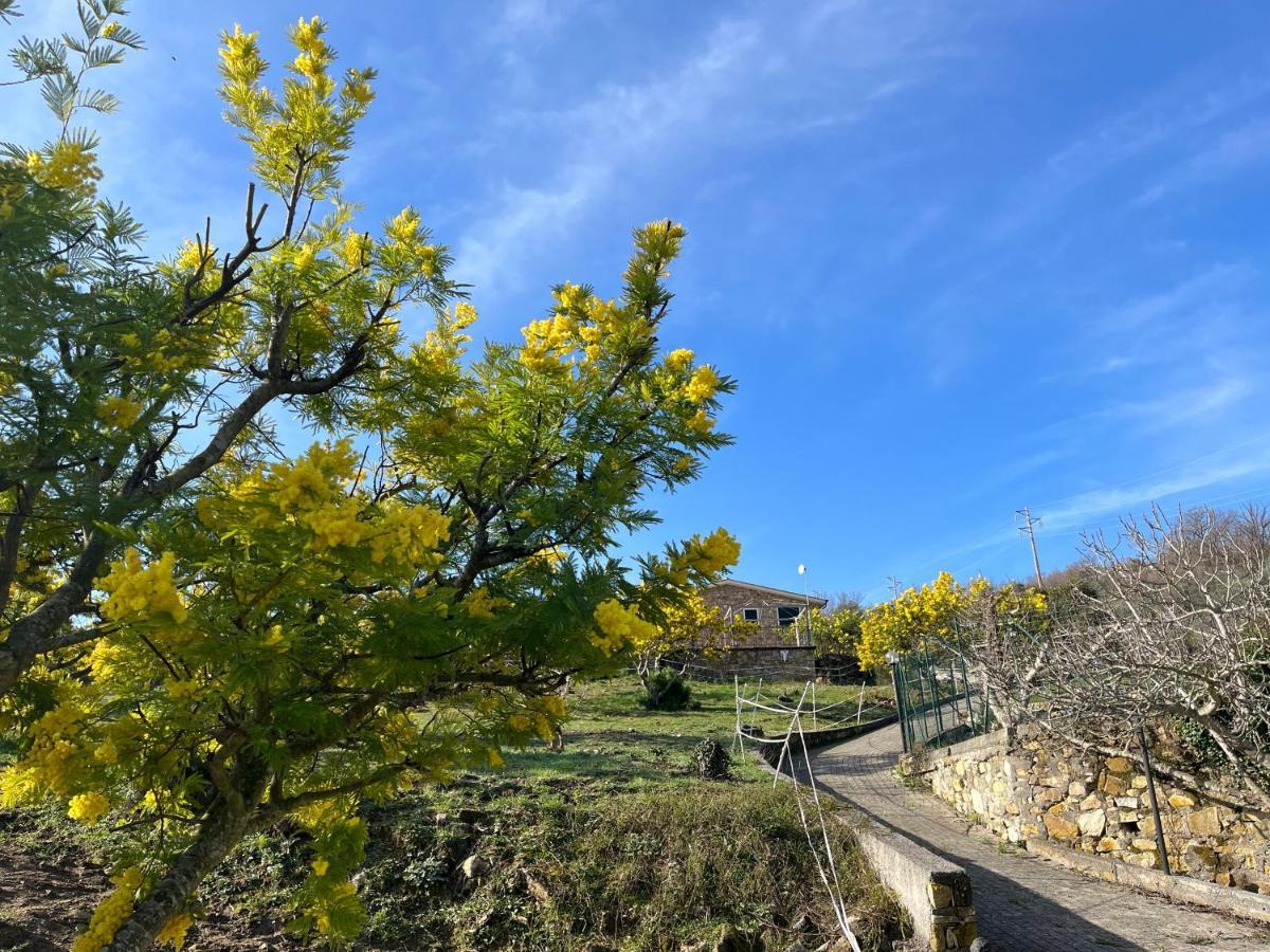 Agriturismo Le Mimose Imperia Bagian luar foto