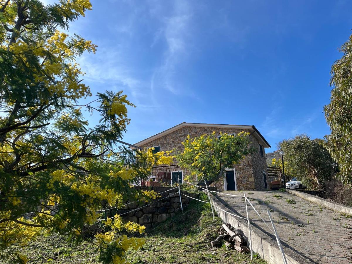 Agriturismo Le Mimose Imperia Bagian luar foto