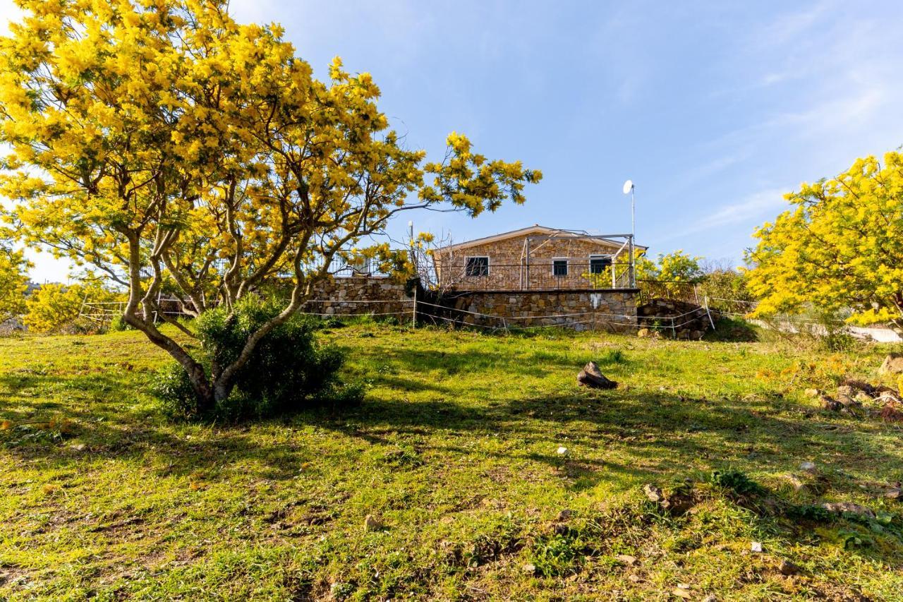 Agriturismo Le Mimose Imperia Bagian luar foto